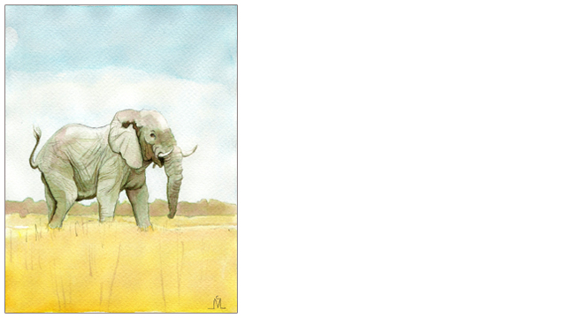 Ilustración - Elefantes